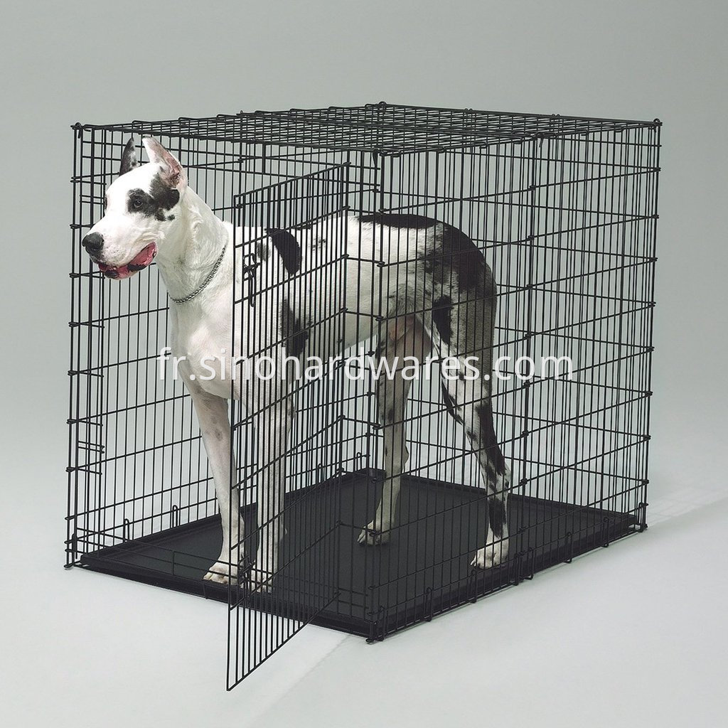 dog crate